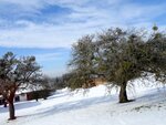 DSC00832.jpg