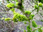 DSC00953.jpg