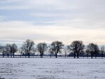 DSC00960.jpg