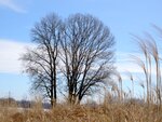 DSC00957.jpg