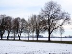 DSC00963.jpg