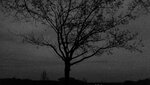 20140417_205338.jpg