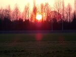 DSC01190.jpg