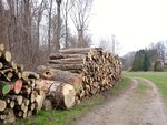 DSC01202.jpg