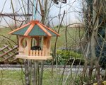 IMG_0616.jpg