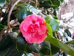 DSC01205.jpg