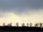 DSC01275.jpg