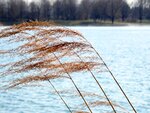 DSC01296.jpg