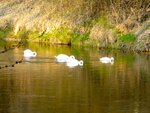 DSC01303.jpg