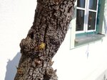 DSC01299.jpg