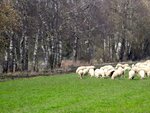 DSC01308.jpg