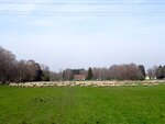 DSC01309.jpg