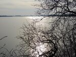 DSC01320.jpg