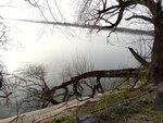 DSC01324.jpg