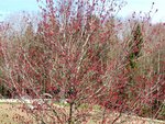 DSC01339.jpg