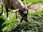 DSC01340.jpg
