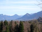 DSC01343.jpg