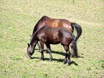DSC01337.jpg