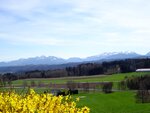 DSC01335.jpg