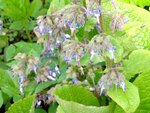 DSC01358.jpg