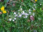 DSC01363.jpg