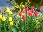 DSC01352.jpg