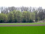 DSC01379.jpg