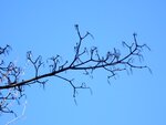 DSC01383.jpg