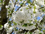 DSC01374.jpg