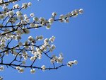 DSC01377.jpg