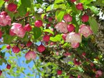 IMG_0639.jpg