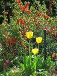 IMG_0645.jpg