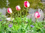 DSC01552.jpg