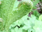 DSC01548.jpg