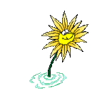 blume.gif