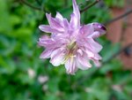 DSC01584.jpg