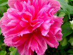 DSC01583.jpg