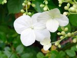 DSC01588.jpg
