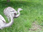 DSC01605.jpg