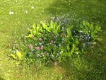 IMG_0402.jpg