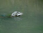DSC01636.jpg