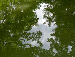 DSC01639.jpg