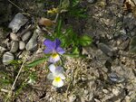 DSC01649.jpg
