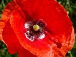 DSC01671.jpg