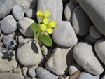 DSC01677.jpg
