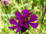 DSC01688.jpg