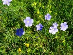 DSC01692.jpg