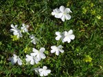 DSC01691.jpg