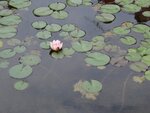 DSC01733.jpg
