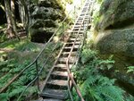 20140809_0556.jpg